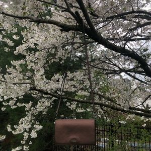 COACH hayden crossbody foldover clutch